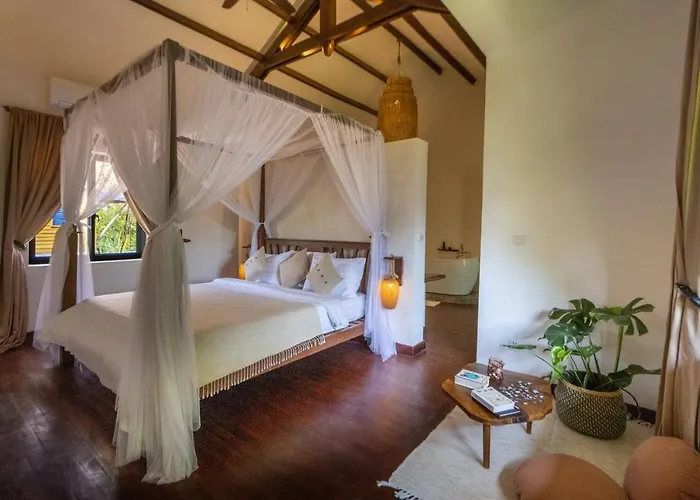 Through The Looking Glass Wellness Retreat Siem Reap