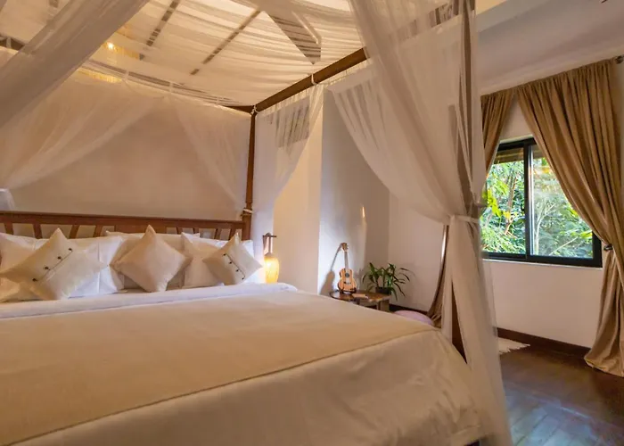 Through The Looking Glass Wellness Retreat