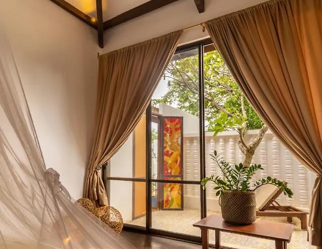 Through The Looking Glass Wellness Retreat