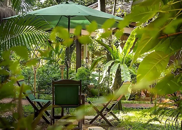 Through The Looking Glass Wellness Retreat
