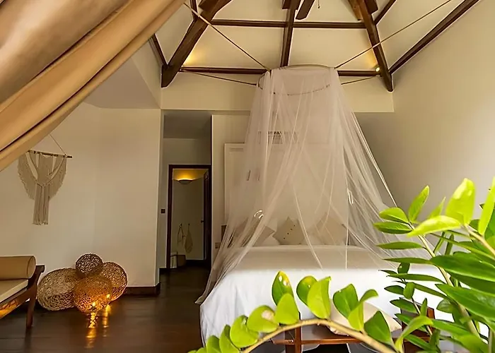 Through The Looking Glass Wellness Retreat Hotel 5*