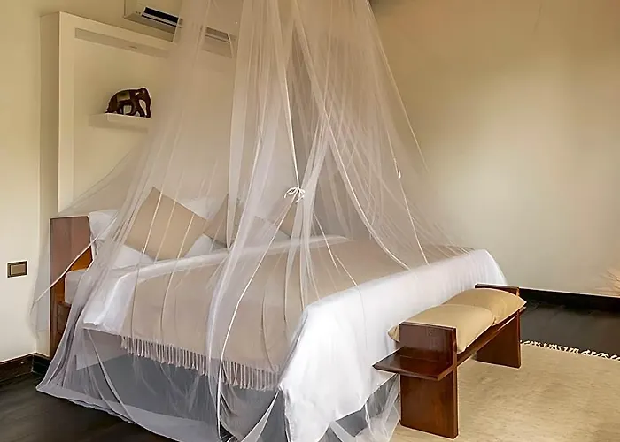 Through The Looking Glass Wellness Retreat Hotel 5*