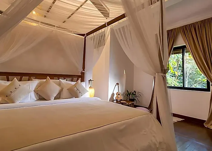 Through The Looking Glass Wellness Retreat Hotel 5*