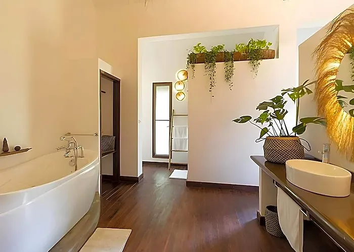 Through The Looking Glass Wellness Retreat Hotel 5*
